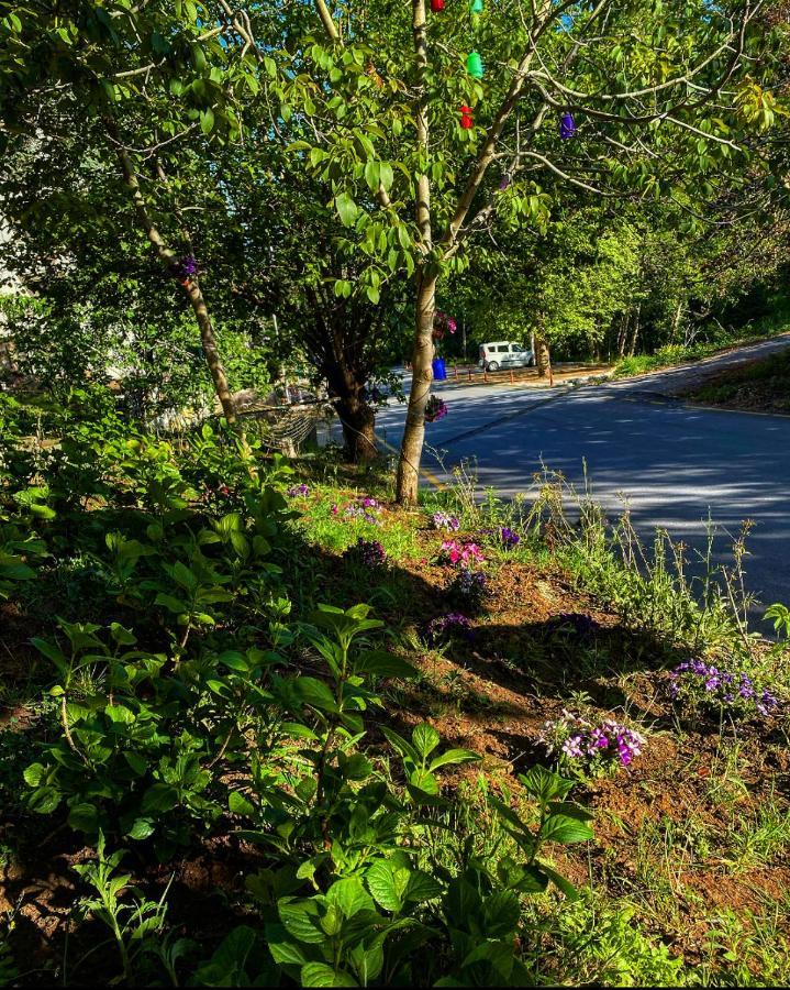 Kapri Termal Hotel & Kaplica Yalova Экстерьер фото